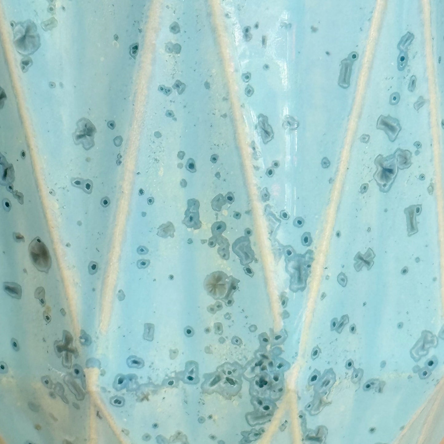 Bloom Plate 'Coral Bay'